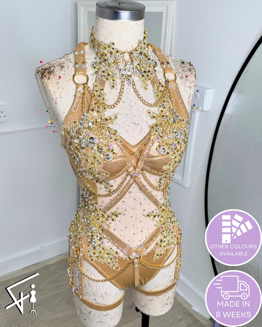 Saphira leotard for dance, aerial hoop or wrestling